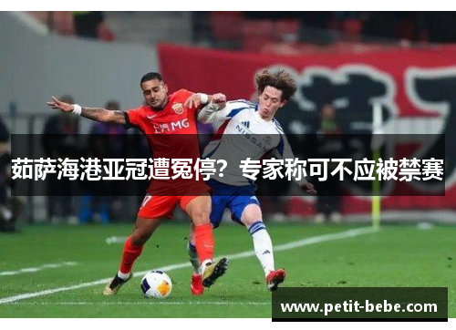 茹萨海港亚冠遭冤停？专家称可不应被禁赛